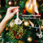 Ornativity Mistletoe Glitter Hanging Ornament - Christmas Mistletoe Kissing Ball with Red Berries Holiday Kiss Xmas Decoration for Doorway Arch Light Fixture 5"